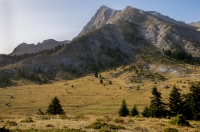 Aroania Mts.