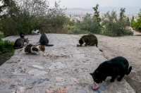 Athens