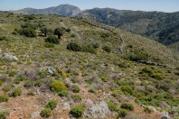 Arginonta, Kalymnos