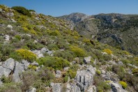 Arginonta, Kalymnos