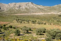 Vathis, Kalymnos