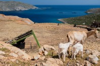 Kalymnos