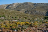 Vothini, Kalymnos