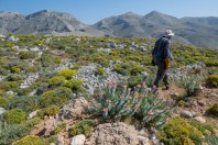 Argos, Kalymnos