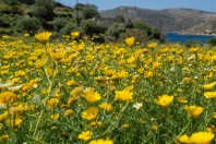 Emporios, Kalymnos