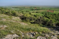 Okolí Evros delty