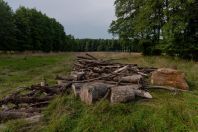 Kaszó