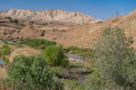 Dewana