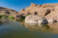 Dewana