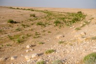 Khan ar Rahbah