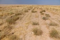 Khan ar Rahbah