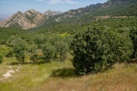 Qara Dagh