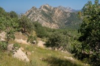 Qara Dagh