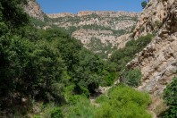 Qara Dagh