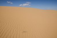 Shavit Sand dunes