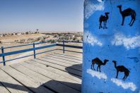 Camel view, Mitzpe Ramon