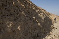 Ammonites wall, Makhtesh Ramon