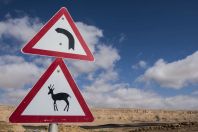 Antelope xing, Makhtesh Ramon