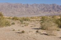 Arava valley