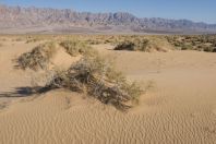 Samar Sand Dunes
