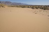 Samar Sand Dunes
