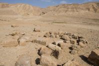 Makhteshim - Ein Yahav Reserve