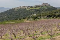 Nimrod Fortress, Golan