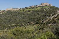 Nimrod Fortress, Golan