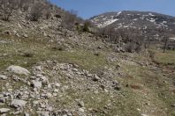 Montivipera bornmuelleri habitat, Hermon