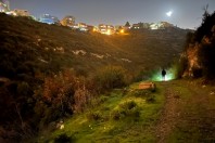 Herping, Haifa