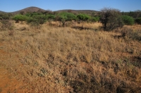 Mokolodi Nature Reserve