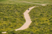 Addo Elephant National Park