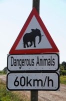 Dangerous Animals in Addo