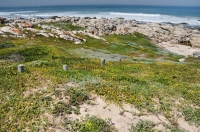 Indian Ocean, near Port Elizabeth