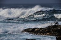 Tsitsikamma National Park