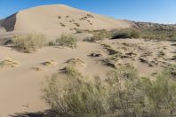Singing dunes, Altyn Emel National Park