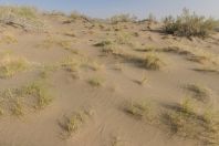 Singing dunes, Altyn Emel National Park