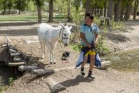 Boy with donkey, Kalinino