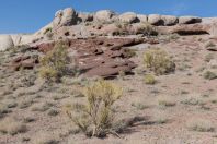 Altyn Emel National Park