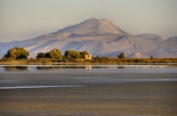 Aliki