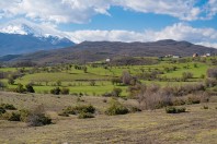 Gorancë