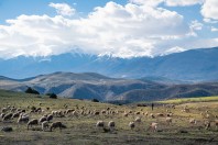 Gorancë