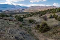 Gorancë