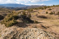 Gorancë