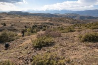 Gorancë