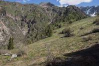 Chatkal Range, western Tien-Shan