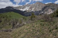 Chatkal Range, western Tien-Shan