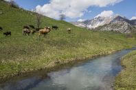 Chatkal Range, western Tien-Shan