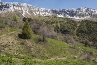 Chatkal Range, western Tien-Shan