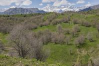 Chatkal Range, western Tien-Shan